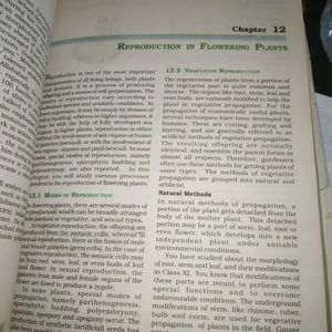 Class 11th NCERT Biology