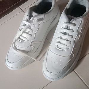 Brand New White Casual Sneakers