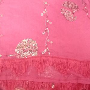 Combo Of 4 Dupatta