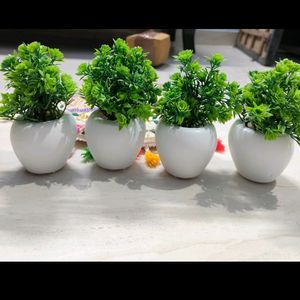 Pack Of 4 Artificial Plants..