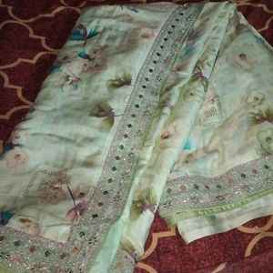 Heavy Shining Border With Saree