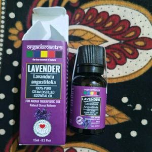 Lavender Essential Oil