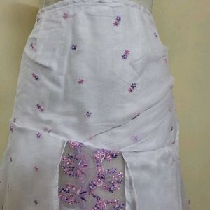 Organza Skirt