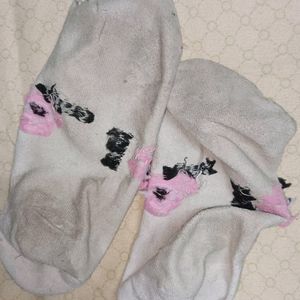 Used Smelly Socks