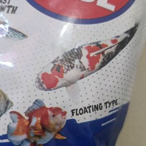 Fish Food