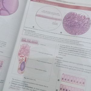 Human Histology With Colour Atlas 9th Edition