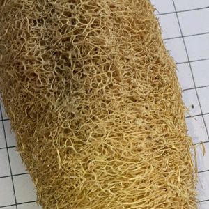 luffa