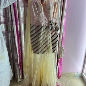 Pink Gown With Net Layer And Feathers