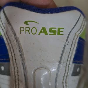 Branded Sports Shoes