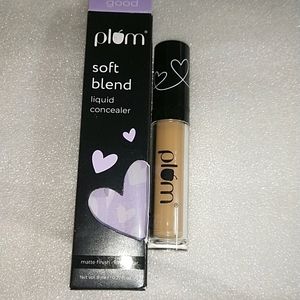 Plum Concealer -130N Tan Glow