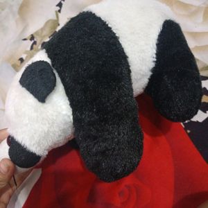 Cute Panda Softoy