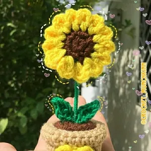 Sunflower Pot🌻