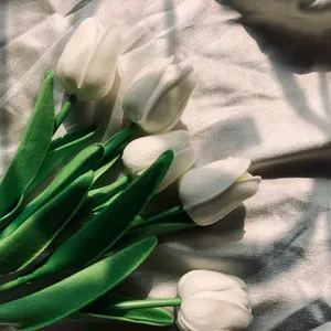 Aesthetic Tulips Pack Of 5