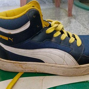 Puma New Shoes For Men