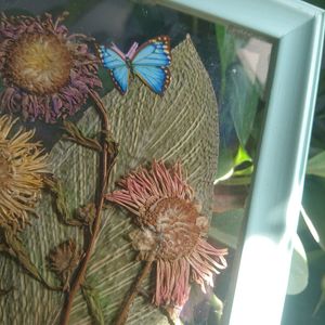 Handmade framed hanging dry Pressed Flower