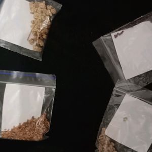 5 Vegatble Seeds