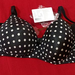 Dressberry Lightly Padded Bra- Non Wired