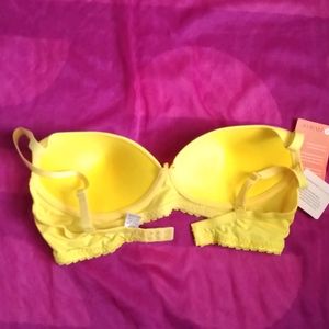 Zivame Rosalie Padded Bra 34-c