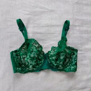 Lace Bra Green Color