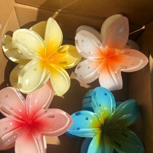 Flower Clips