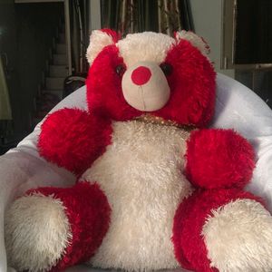 Big Size Teddy