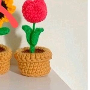 Crochet Tulip Flower's