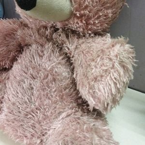 Teddy Bear Soft Toy