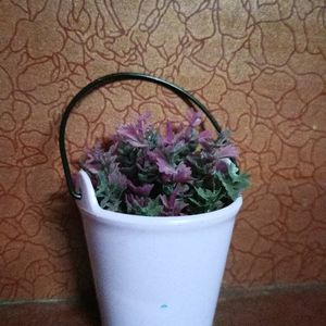 This Is Small Bucket With A Pink And Purple Colour