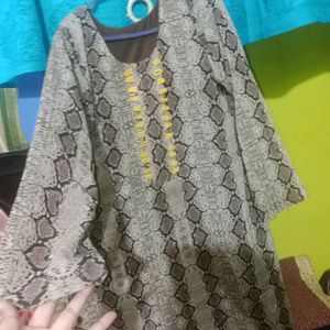 Combo Of 2 Kurta