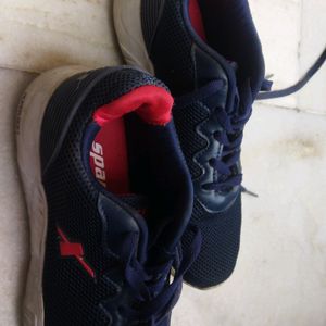 Original Sparx Sports Shoes