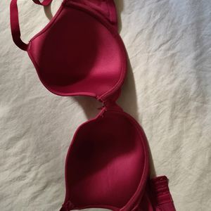 Zivame Maroon Padded Bra