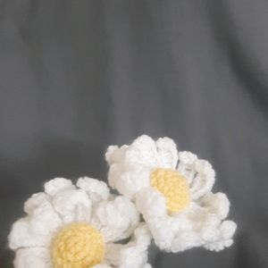 Large Double Layer Crochet Daisy Flowers