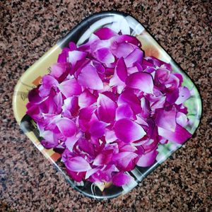 Dried Rose Petals For Craft, Herbal, Decor, Pujan