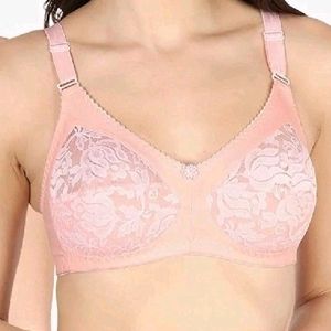 1 Dark Pink Non Padded Bra (36/90)