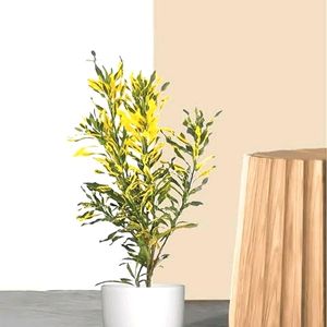 Lemon Croton Plant With Pot