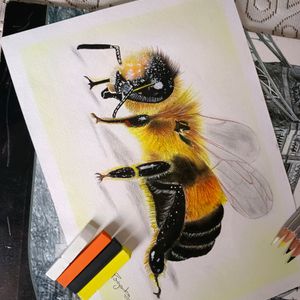 Honey Bee 🐝 Painting