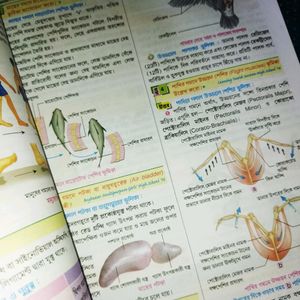 CLASS 10 LIFE SCIENCE REFERENCE BOOK