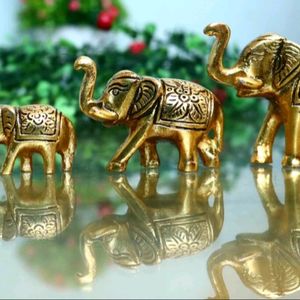 Gold Elephant Showpiece For Home Decor Pack Of 3