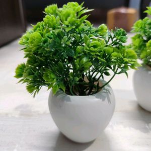 Pack Of 4 Artificial Plants..