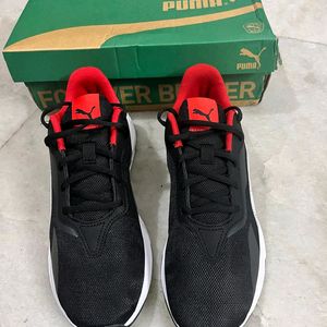 PUMA BLACK SCUDERIA FERRARI SHOES UK-8