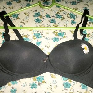 Push Up Bra