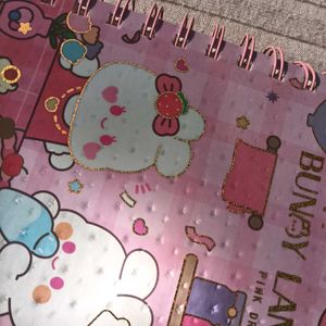 Holographic Bunny Diary