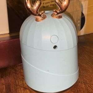 Lovely Humidifier