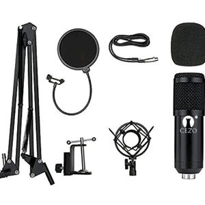 BM 800 Professional Condenser Microphone