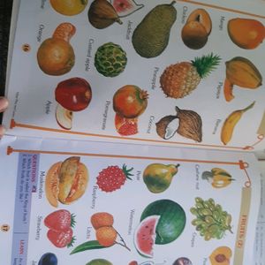 Books For Nursery To Srkg