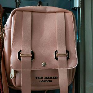 Ted Baker Bag