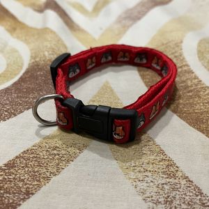 New Dog Collar Red Color