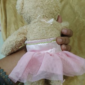 original jeju teddy bear