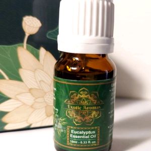 10ml Eucalyptus Essential Aroma Oil