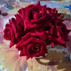6 Red Roses. Half Dozen